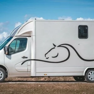 Renault Master 2 chevaux 165 ch